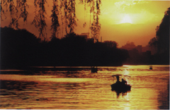 金色時光---謝曉音